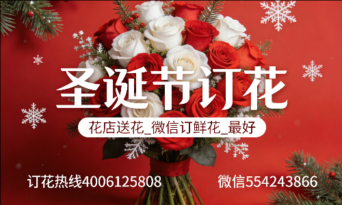 邯郸曲周县花店送花_微信订鲜花_圣诞节订花_最好? 邯郸曲周县花店